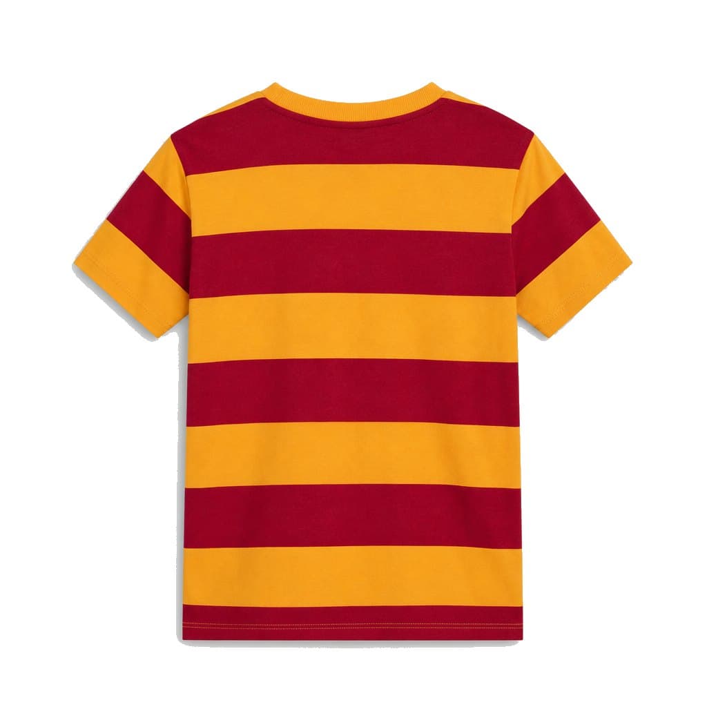 Galatasaray Çizgili Retro T-Shirt — görsel 2